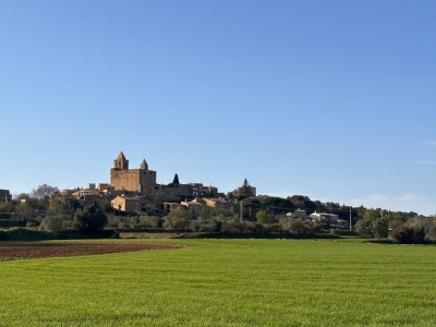 Quins pobles medievals no et pots perdre a prop d'Encís d'Empordà?