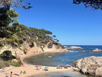 Ты уже был в Cala Estreta? Дикая природа в самом сердце Costa Brava